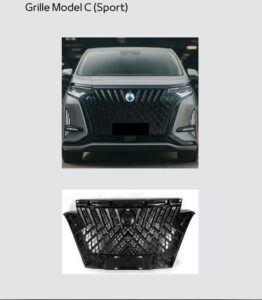 Grill A Denza D9 Sport